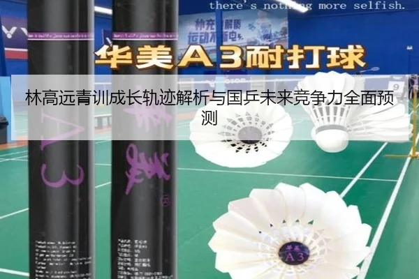 林高远青训成长轨迹解析与国乒未来竞争力全面预测